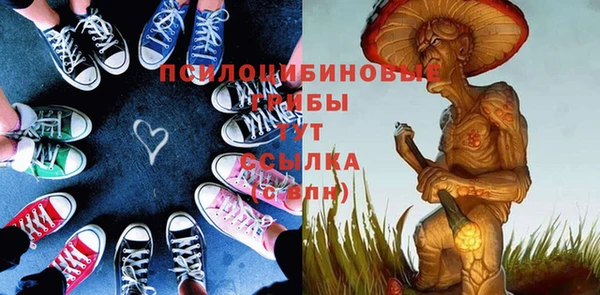 индика Зеленокумск