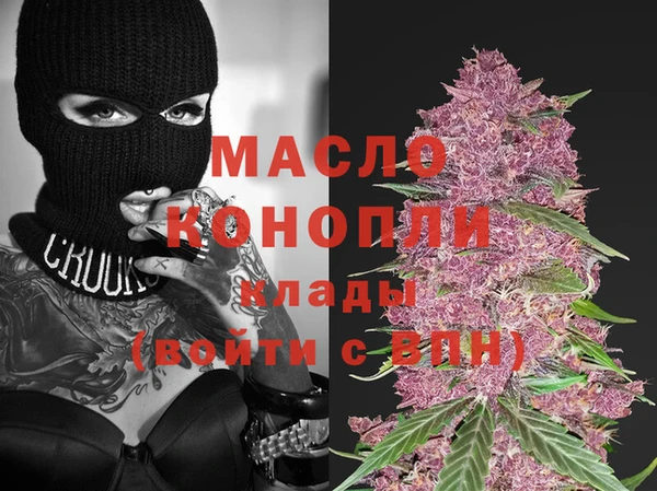 индика Зеленокумск