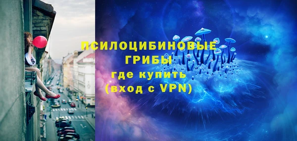 индика Зеленокумск