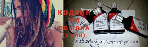 индика Зеленокумск
